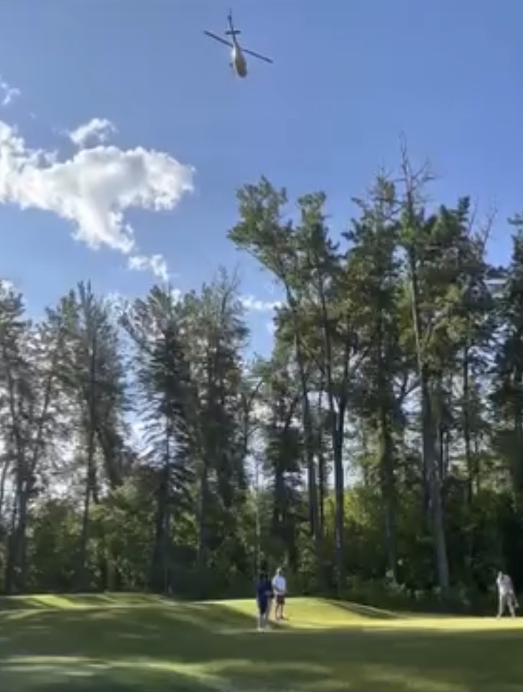 ELMS Brew Custom Craft Beer